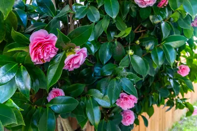 112 Palomar Lane, Vallejo, CA 94591 - Photo 49