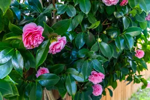 112 Palomar Ln, Vallejo, CA 94591 - Photo 49