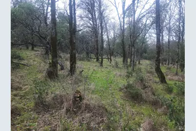 2800 Road B, Redwood Valley, CA 95470 - Photo 3