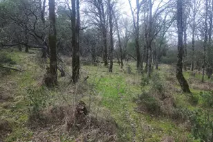 2800 Rd B, Redwood Valley, CA 95470 - Photo 3