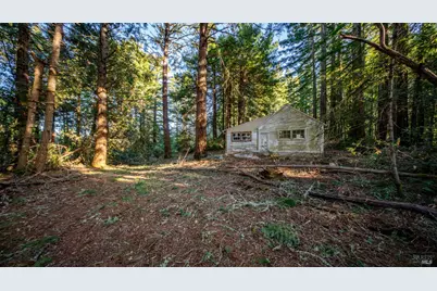 17470 Willow Creek Road, Occidental, CA 95465 - Photo 13