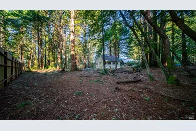 17470 Willow Creek Road, Occidental, CA 95465 - Photo 9