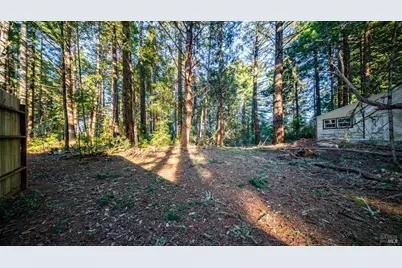 17470 Willow Creek Road, Occidental, CA 95465 - Photo 11