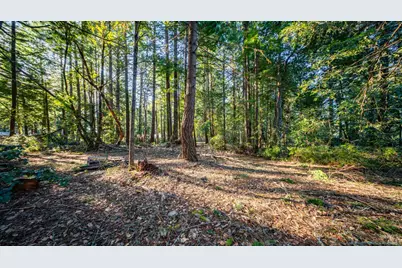 17470 Willow Creek Road, Occidental, CA 95465 - Photo 21