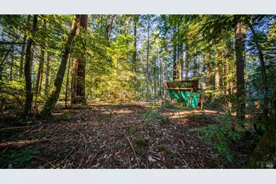 17470 Willow Creek Road, Occidental, CA 95465 - Photo 17