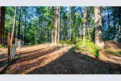 17470 Willow Creek Road, Occidental, CA 95465 - Photo 27