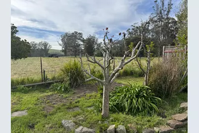39 Carrie Street, Tomales, CA 94971 - Photo 57