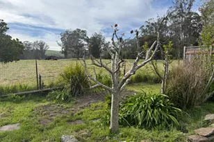 39 Carrie St, Tomales, CA 94971 - Photo 57