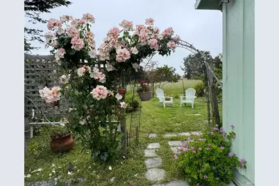 39 Carrie Street, Tomales, CA 94971 - Photo 65
