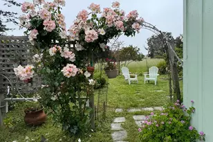39 Carrie St, Tomales, CA 94971 - Photo 65