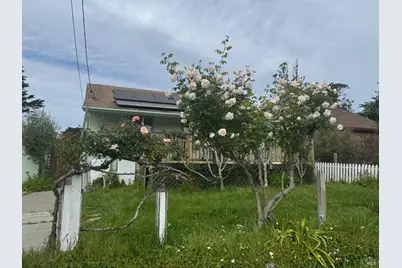 39 Carrie Street, Tomales, CA 94971 - Photo 69