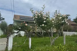 39 Carrie St, Tomales, CA 94971 - Photo 69