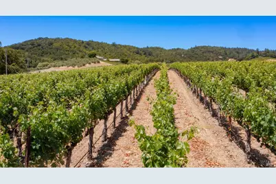 3211 Dry Creek Road, Napa, CA 94558 - Photo 11