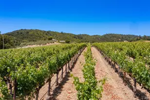 3211 Dry Creek Rd, Napa, CA 94558 - Photo 11