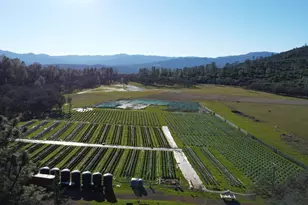 [Address not provided], Lower Lake, CA 95457 - Photo 7