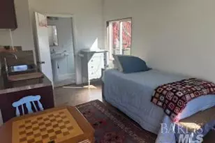 44120 Biaggi Rd, Manchester, CA 95459 - Photo 19