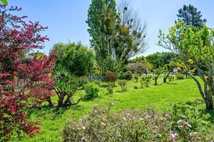 431 Sexton Rd, Sebastopol, CA 95472 - Photo 53
