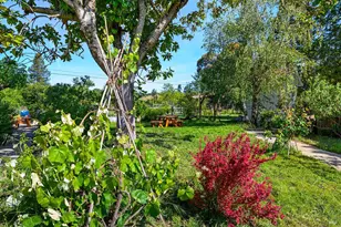 431 Sexton Rd, Sebastopol, CA 95472 - Photo 49