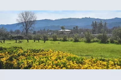 2550 Greenwood Avenue, Calistoga, CA 94515 - Photo 35