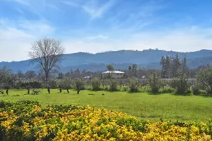 2550 Greenwood Ave, Calistoga, CA 94515 - Photo 35