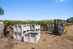 5267 Old Sonoma Rd, Napa, CA 94559 - Photo 5