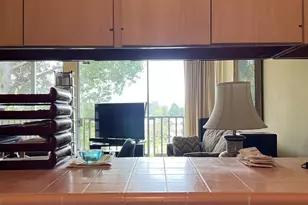 14 Gomez Way, Mill Valley, CA 94941 - Photo 19