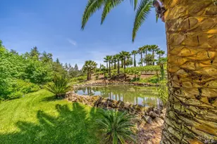 4447 N St Helena Hwy, Calistoga, CA 94515 - Photo 45