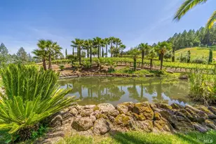 4447 N St Helena Hwy, Calistoga, CA 94515 - Photo 39