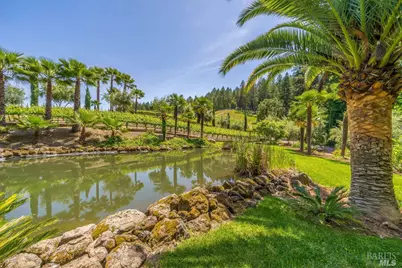 4447 N St. Helena Highway, Calistoga, CA 94515 - Photo 7