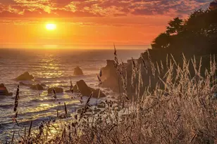 41569 Hatch Way, The Sea Ranch, CA 95497 - Photo 53