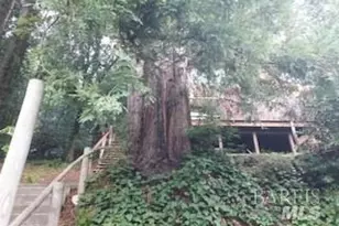 18349 Neeley Rd, Guerneville, CA 95446 - Photo 1