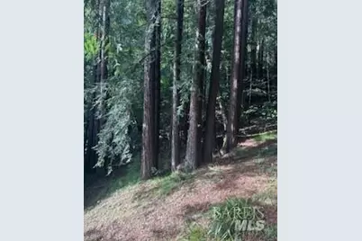 18349 Neeley Road, Guerneville, CA 95446 - Photo 15