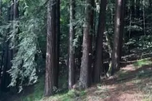 18349 Neeley Rd, Guerneville, CA 95446 - Photo 15