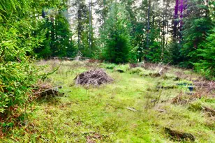 40401 Little River-Airport Rd, Littleriver, CA 95456 - Photo 45