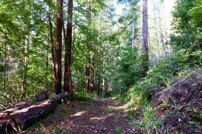 40401 Little River Airport Road, Littleriver, CA 95456 - Photo 43