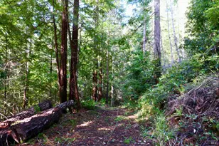 40401 Little River-Airport Rd, Littleriver, CA 95456 - Photo 43