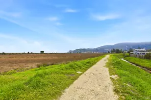 868 Rincon Way, San Rafael, CA 94903 - Photo 43