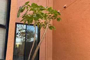 104 Nantucket Ln, Vallejo, CA 94590 - Photo 31