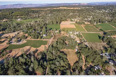 710 Anderson Lane, Angwin, CA 94508 - Photo 5