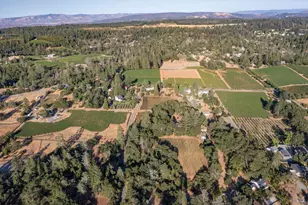 710 Anderson Ln, Angwin, CA 94508 - Photo 5