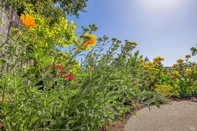 659 Las Colindas Road, San Rafael, CA 94903 - Photo 33