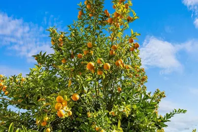 130 11th Street, Santa Rosa, CA 95401 - Photo 41