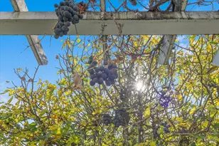 130 11th St, Santa Rosa, CA 95401 - Photo 9