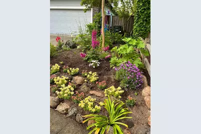 4604 Parktrail Court, Santa Rosa, CA 95405 - Photo 9