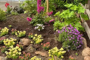 4604 Parktrail Ct, Santa Rosa, CA 95405 - Photo 9