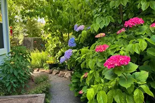 4604 Parktrail Ct, Santa Rosa, CA 95405 - Photo 75