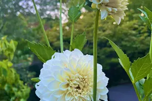 4604 Parktrail Ct, Santa Rosa, CA 95405 - Photo 77