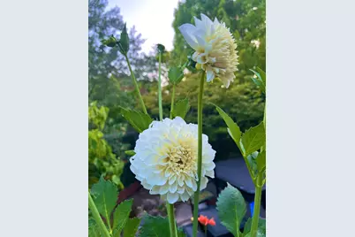 4604 Parktrail Court, Santa Rosa, CA 95405 - Photo 71