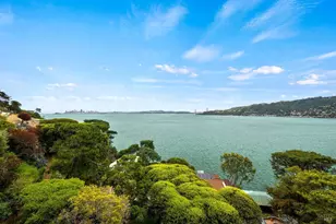 337 Belvedere Ave, Belvedere, CA 94920 - Photo 49