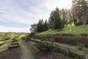 324 Burgundy Rd, Healdsburg, CA 95448 - Photo 41